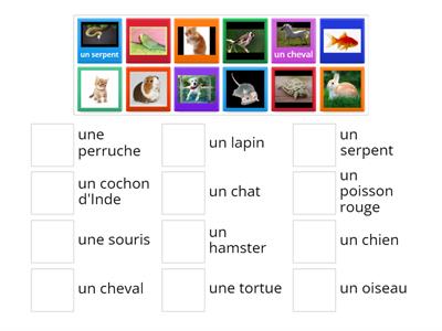 Les animaux