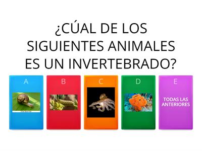 Animales invertebrados y vertebrados.