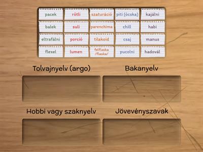 Magyar nyelv társadalmi változatai