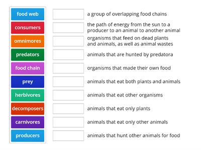 Food Chains & Food Webs Vocabulary