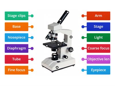 Labeling Microscope