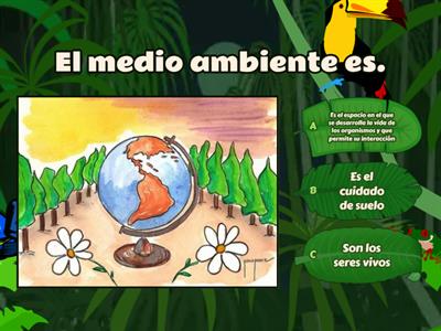 El medio ambiente