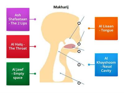Name the Articulation Points- Types of Makhaarij 