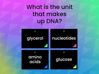 DNA Structure Practice Quiz