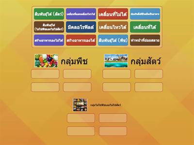 ลักษณะสิ่งมีชีวิต