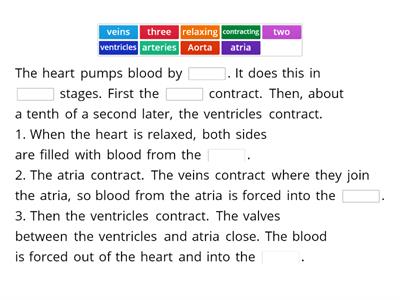 How the heart pumps blood