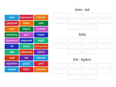 Kelime Türleri