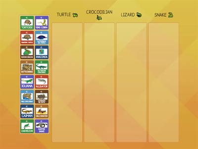 Reptiles Classification Game 1 (EFOC)