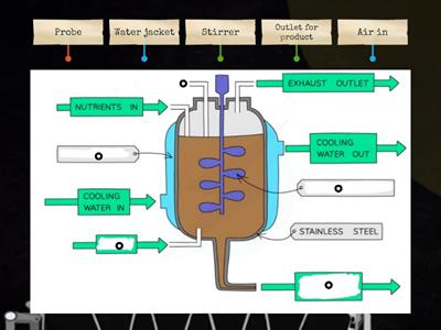 Fermenter (Label)