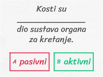 Kostur i mišići čovjeka 