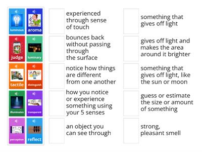 Critical Vocabulary for What Are The Five Senses? and The Science Behind Sight