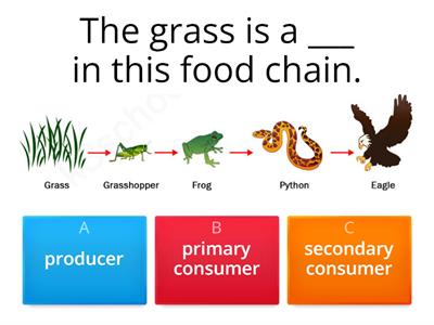  Ecology practice quiz