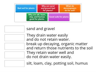 Decomposers - Teaching Resources