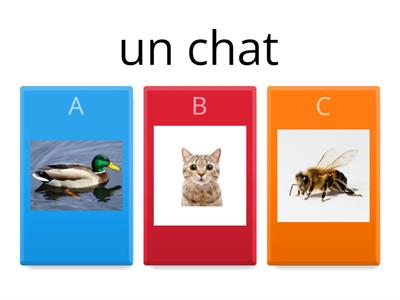  Les animaux domestiques