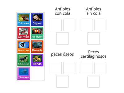 Anfibios y peces