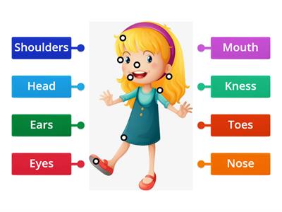 Body Parts (head,shoulders knees and toes)