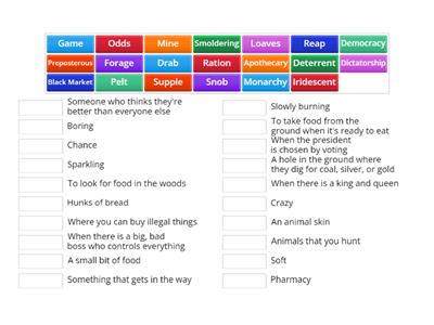 Meliza Hunger Games Vocab 1