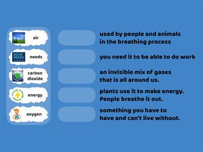 Plants and People - Working Together vocabulary