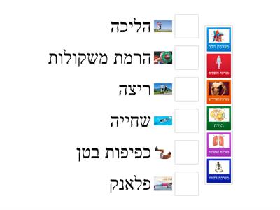 מערכות גוף האדם