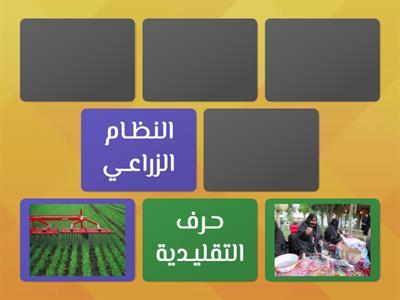 واحات العين، تاريخها ومكوناتها (المفردات والمصطلحات)