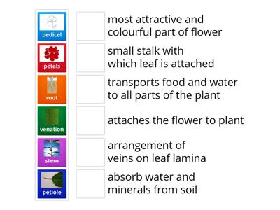 getting to know plants