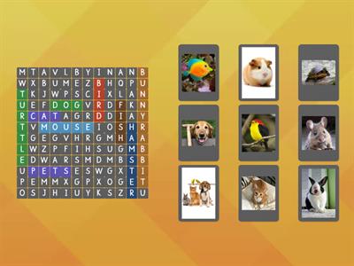 PETS WORDSEARCH