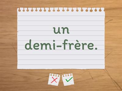 DGS D1 M1.1 as-tu des frères et des soeurs?