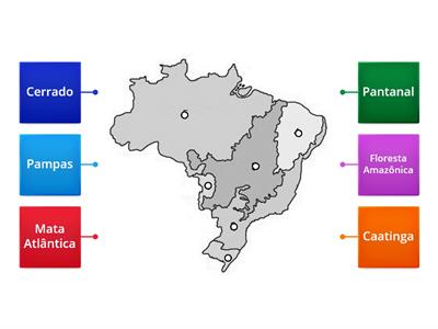Biomas do Brasil  - Mapa