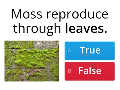 Reproduction in Plants