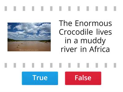 The Enormous Crocodile True or False