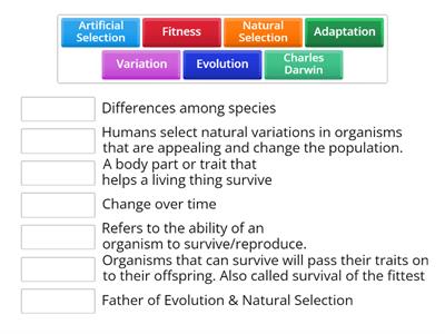 Evolution & Natural Selection (Mrs. B)