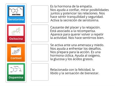 Un poco de la química en las emociones