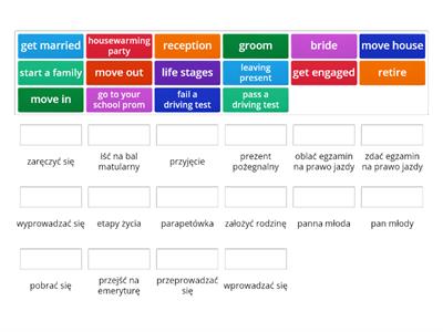 vinci 6/7 life stages Halszka