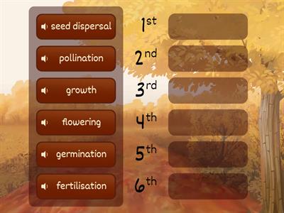 Order - Cycle of the flowering plant