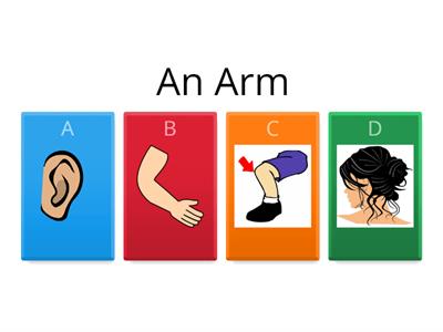 BODY PARTS FOR KINDERGARTEN ACIBADEM