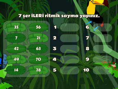 7 şer İLERİ ritmik sayma