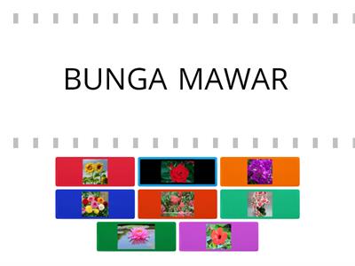 BUNGA