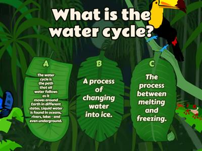 Water cycle