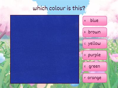 colour&vocolubrary quiz