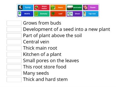 Parts of a plant