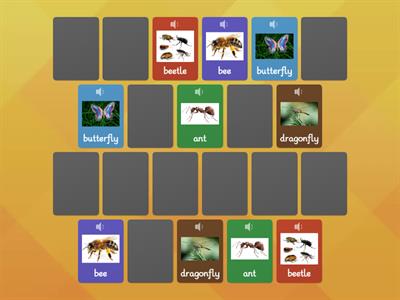 Vocabulary - 3C Minibeasts