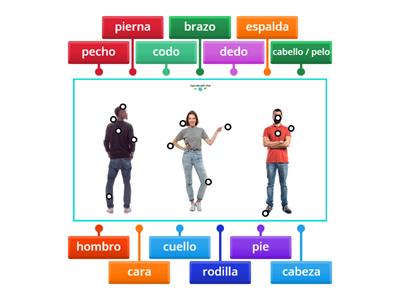 Parts of the Body Spanish Practise 