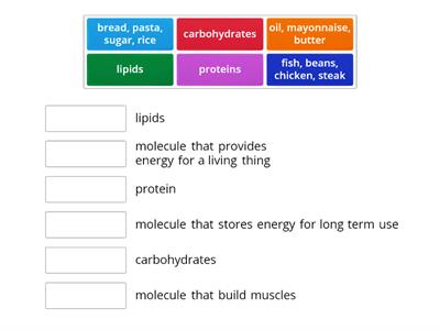 Biologic Molecules