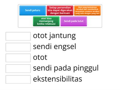 Latihan soal rangka gerak manusia