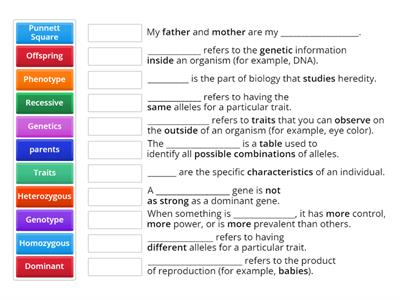 Genetics Vocabulary