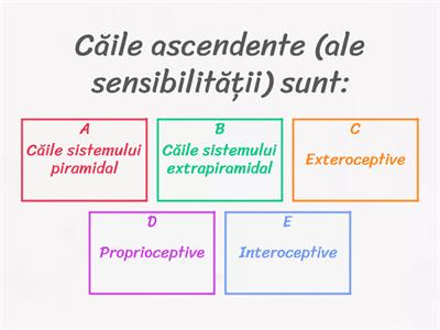 C2. Sistemul Nervos