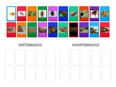 Animais vertebrados e invertebrados