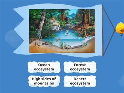Ecosystems 2