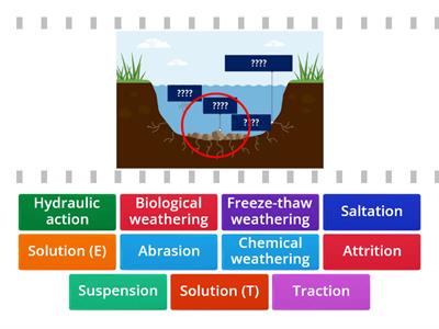 River processes!