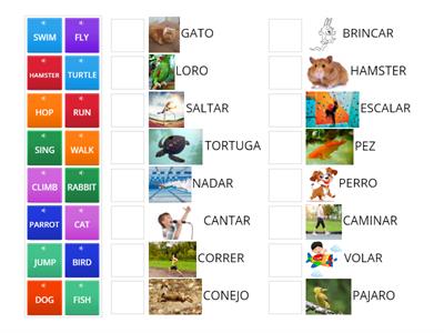 ANIMALES - ACCIONES INGLES